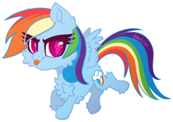 Size: 1024x720 | Tagged: safe, artist:spectrasus, imported from derpibooru, rainbow dash, pegasus, pony, :p, backwards cutie mark, chest fluff, chibi, cute, dashabetes, ear fluff, eye clipping through hair, female, fluffy, flying, hoof fluff, looking at you, simple background, solo, tongue out, transparent background
