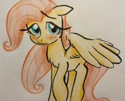 Size: 640x518 | Tagged: safe, artist:kluzart, imported from derpibooru, fluttershy, pony, solo, traditional art