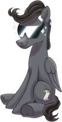 Size: 770x1500 | Tagged: safe, artist:crystalightx, imported from derpibooru, oc, oc:greywind, pegasus, pony, derpibooru community collaboration, 2022 community collab, male, pegasus oc, simple background, smiling, solo, stallion, sunglasses, transparent background