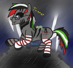 Size: 1600x1500 | Tagged: safe, artist:pawker, imported from derpibooru, oc, oc only, oc:trener, earth pony, pony, clothes, commission, glasses, male, socks, solo, swamp cinema, thunder