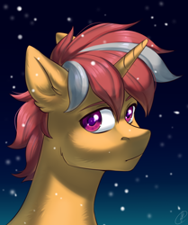 Size: 1200x1434 | Tagged: safe, artist:tigra0118, imported from derpibooru, oc, pony, unicorn, bust, digital art, male, portrait, snow, solo