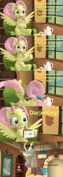 Size: 1920x5400 | Tagged: safe, artist:red4567, imported from derpibooru, discord, fluttershy, draconequus, pegasus, pony, 3d, comic, cup, female, food, jewelry, male, mare, necklace, older, older fluttershy, phineas and ferb, source filmmaker, spread wings, tea, teacup, teapot, wide eyes, wings, youtube link