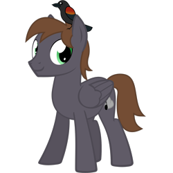 Size: 1500x1500 | Tagged: safe, artist:the smiling pony, imported from derpibooru, oc, oc only, oc:wingbeat, bird, pegasus, pony, derpibooru community collaboration, .svg available, 2022 community collab, blackbird, brown mane, brown tail, folded wings, full body, green eyes, looking at you, male, pegasus oc, show accurate, simple background, smiling, smiling at you, solo, stallion, standing, svg, tail, three quarter view, transparent background, vector, wings