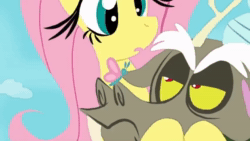 Size: 864x486 | Tagged: safe, artist:naquelinedelch2, edit, imported from derpibooru, discord, fluttershy, butterfly, draconequus, pegasus, pony, animated, cloud, conbons, crossed arms, duo, female, frown, headless, holding head, implied pain, mare, modular, sound, video, voice acting, webm