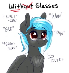 Size: 793x846 | Tagged: safe, alternate version, artist:confetticakez, imported from derpibooru, oc, oc only, pegasus, pony, chest fluff, glasses, smiling, solo