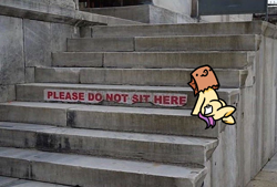 Size: 1080x729 | Tagged: safe, artist:paperbagpony, imported from derpibooru, oc, oc:paper bag, earth pony, pony, crime, criminal, earth pony oc, fuck the police, irl, photo, ponified animal photo, solo, stairs