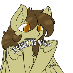 Size: 4000x4000 | Tagged: safe, artist:dirtpecker, imported from derpibooru, oc, oc only, oc:static spark, pegasus, pony, simple background, solo, swearing, transparent background, unamused, vulgar, wings