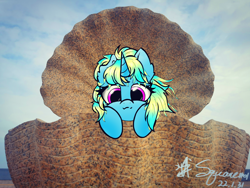 Size: 3648x2736 | Tagged: safe, artist:square#01, imported from derpibooru, oc, unicorn, looking at you, photo, sky, smiling, solo