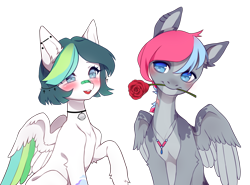 Size: 2634x1944 | Tagged: safe, artist:miioko, imported from derpibooru, oc, oc only, pegasus, pony, colored wings, duo, ear piercing, flower, flower in mouth, jewelry, mouth hold, necklace, oc x oc, open mouth, pegasus oc, piercing, raised hoof, rose, shipping, simple background, transparent background, two toned wings, wings