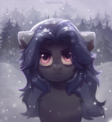 Size: 3500x3800 | Tagged: safe, artist:raily, imported from derpibooru, oc, oc only, oc:mattriel, earth pony, pony, bust, portrait, snow, snowfall, solo, winter