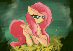 Size: 2388x1668 | Tagged: safe, artist:solid shrimp, imported from derpibooru, fluttershy, pegasus, pony, grass, grass field, solo