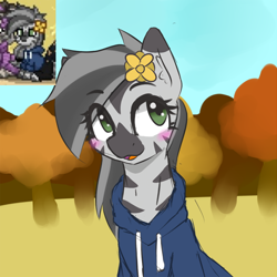 Size: 666x666 | Tagged: safe, artist:zebra, oc, oc only, oc:mahiro, pony, zebra, pony town, autumn, blushing, clothes, flower, hoodie, open mouth, solo