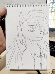 Size: 1623x2160 | Tagged: safe, artist:hory, imported from derpibooru, oc, oc:hory, bat pony, pony, bat pony oc, bust, irl, male, monochrome, photo, sketch, solo, traditional art, wings