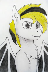 Size: 2758x4137 | Tagged: safe, artist:hory, imported from derpibooru, oc, oc only, oc:hory, bat pony, pony, bat pony oc, bust, fangs, high res, male, monochrome, simple background, smiling, solo, stallion, traditional art, white background, wings