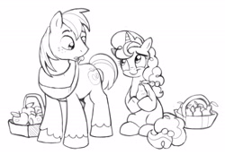 Size: 3537x2441 | Tagged: safe, artist:lummh, imported from derpibooru, big macintosh, sugar belle, earth pony, pony, unicorn, apple, basket, duo, food, grayscale, high res, looking at someone, looking at something, male, monochrome, pear, simple background, sketch, stallion, white background