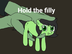 Size: 569x427 | Tagged: safe, artist:omelettepony, oc, oc only, oc:anon, oc:filly anon, earth pony, human, pony, earth pony oc, female, filly, hand, holding a pony, looking at you, open mouth, open smile, ponified, ponified animal photo, question mark, simple background, smiling, text