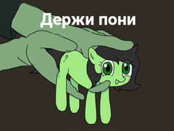 Size: 569x427 | Tagged: safe, artist:omelettepony, oc, oc only, oc:anon, oc:filly anon, earth pony, human, pony, cyrillic, female, filly, hand, holding a pony, looking at you, open mouth, open smile, ponified, ponified animal photo, question mark, russian, simple background, smiling, text