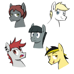 Size: 2000x2000 | Tagged: safe, artist:machacapigeon, oc, oc:aryanne, oc:fence mender, oc:leslie fair, oc:molly tov, oc:veronika, earth pony, pony, /mlp/, looking at you, male, nazi, rule 63, simple background, stallion, white background