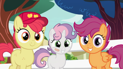 Size: 1280x720 | Tagged: safe, edit, edited screencap, editor:deserter, imported from derpibooru, screencap, apple bloom, scootaloo, sweetie belle, earth pony, pegasus, pony, unicorn, marks for effort, adorabloom, bandaid, baseball cap, blank flank, cap, cute, cutealoo, cutie mark crusaders, diasweetes, female, fence, filly, foal, hat, looking at you, smiling, smiling at you, tomboy, tree, trio