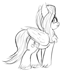 Size: 550x650 | Tagged: safe, artist:litrojia, imported from derpibooru, pipp petals, pegasus, pony, chest fluff, female, g5, grayscale, looking back, mare, monochrome, my little pony: a new generation, simple background, sketch, solo, white background