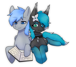 Size: 1700x1500 | Tagged: safe, artist:arctisune, imported from derpibooru, oc, oc:lucia, oc:silver duvet, bat pony, pegasus, book, clothes, collar, flower, heterochromia, simple background, socks, transparent background, wings