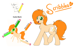 Size: 3100x2000 | Tagged: safe, artist:ponynamedmixtape, imported from derpibooru, oc, oc only, oc:scribbles, earth pony, pony, femboy, fluffy mane, fluffy tail, ginger, high res, male, reference sheet, simple background, solo, tail, transparent background
