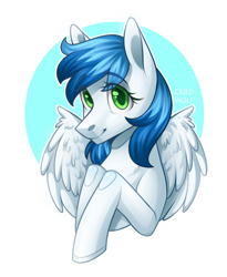 Size: 1280x1561 | Tagged: safe, artist:cried wolf, imported from derpibooru, oc, oc only, pegasus, pony, simple background, solo, white background