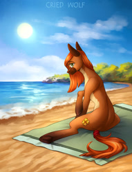 Size: 1280x1675 | Tagged: safe, artist:cried wolf, imported from derpibooru, oc, oc only, oc:ambermane, earth pony, pony, beach, female, solo, sun, tail, tied tail