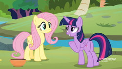 Size: 1920x1080 | Tagged: safe, imported from derpibooru, screencap, fluttershy, twilight sparkle, alicorn, pegasus, pony, memnagerie, spoiler:memnagerie, spoiler:mlp friendship is forever, 9now, bowl, butt, duo, duo female, female, folded wings, mare, outdoors, plot, river, sweet feather sanctuary, twibutt, twilight sparkle (alicorn), water, wings