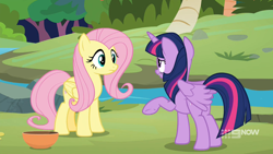 Size: 1920x1080 | Tagged: safe, imported from derpibooru, screencap, fluttershy, twilight sparkle, alicorn, pegasus, pony, memnagerie, spoiler:memnagerie, spoiler:mlp friendship is forever, 9now, bowl, butt, duo, duo female, female, folded wings, mare, outdoors, plot, river, sweet feather sanctuary, twibutt, twilight sparkle (alicorn), water, wings