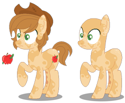 Size: 523x430 | Tagged: safe, artist:awoomarblesoda, imported from derpibooru, oc, oc only, earth pony, pony, bald, base used, duo, earth pony oc, hat, male, offspring, parent:applejack, parent:caramel, parents:carajack, simple background, stallion, transparent background, wide eyes