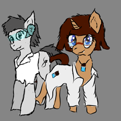 Size: 1600x1600 | Tagged: safe, artist:coco-kyoko, imported from derpibooru, oc, oc:cocoa, oc:the zefarian, earth pony, pony, unicorn, clothes, cutie mark accessory, cutie mark necklace, cutie mark on clothes, duo, female, glasses, jewelry, lab coat, male, necklace, visor