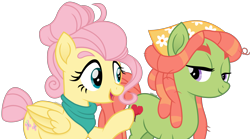 Size: 3527x1968 | Tagged: safe, artist:cirillaq, imported from derpibooru, fluttershy, tree hugger, earth pony, pegasus, pony, alternate hairstyle, female, flutterhugger, mare, shipping, simple background, transparent background, vector