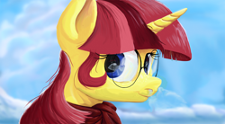 Size: 3200x1760 | Tagged: safe, artist:aaronmk, imported from derpibooru, oc, oc only, oc:lefty pony, pony, unicorn, bust, clothes, freckles, glasses, scarf, sky background, smiling, solo