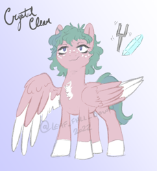 Size: 800x872 | Tagged: safe, imported from derpibooru, oc, oc only, pegasus, chest fluff, colored wings, female, mare, multicolored hair, multicolored wings, reference sheet, wings