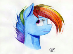 Size: 2766x2064 | Tagged: safe, artist:greenmarta, imported from derpibooru, rainbow dash, pegasus, pony, bust, female, high res, portrait, profile, solo, traditional art