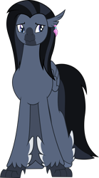 Size: 1470x2650 | Tagged: safe, artist:don't mind me, derpibooru exclusive, imported from derpibooru, oc, oc only, hippogriff, derpibooru community collaboration, 2022 community collab, ear piercing, earring, front view, full body, hippogriff oc, jewelry, male, piercing, show accurate, simple background, solo, transparent background