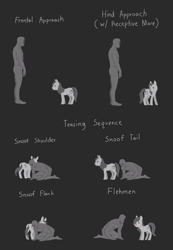 Size: 4983x7194 | Tagged: safe, artist:rhorse, oc, oc:anon, oc:gramcracker, earth pony, pony, /mare/con, blushing, butt, chart, diagram, gray background, human and pony, looking back, nudity, plot, simple background, sniffing