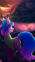 Size: 1524x2709 | Tagged: safe, artist:xxmarkingxx, oc, oc only, earth pony, pony, clothes, cloud, dock, lightning, storm, walking