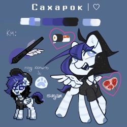 Size: 1000x1000 | Tagged: safe, artist:sugarpersonlove, imported from derpibooru, oc, oc only, pegasus, pony, reference sheet, solo