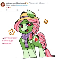 Size: 1000x1000 | Tagged: safe, artist:sugarpersonlove, imported from derpibooru, oc, oc only, earth pony, pony, braid, braided tail, clothes, hat, scarf, solo, tail