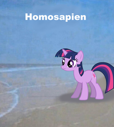 Size: 624x692 | Tagged: source needed, safe, imported from derpibooru, twilight sparkle, pony, unicorn, female, homo sapien, man, mare, meme, ponified meme, solo, unicorn twilight