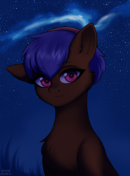 Size: 1310x1774 | Tagged: safe, artist:alunedoodle, imported from derpibooru, oc, oc:hearts desire, earth pony, pony, sky, solo, starry night