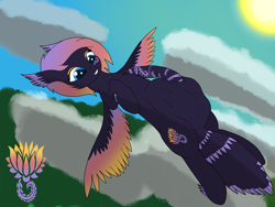 Size: 2048x1536 | Tagged: safe, artist:ezralas lunarautumn, imported from derpibooru, oc, oc only, oc:blooming lotus, pegasus, pony, bellyrubs, flying, vore