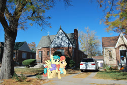 Size: 2048x1371 | Tagged: safe, artist:cheezedoodle96, edit, imported from derpibooru, aunt holiday, auntie lofty, earth pony, pegasus, pony, clothes, colorado, couple, denver, eye contact, female, grin, hoof on chest, hug, irl, lesbian, lofty day, looking at each other, looking at someone, male, mare, photo, ponies in real life, rearing, scarf, shipping, smiling, spread wings, straight, sweater, wings