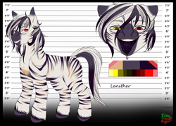 Size: 7000x5000 | Tagged: safe, artist:salemsalami, imported from derpibooru, oc, oc only, oc:lenither, zebra, absurd resolution, big smile, blank flank, chest fluff, colored pupils, dock, drool, eye clipping through hair, faded stripes, floppy ears, grin, heterochromia, lidded eyes, looking at you, male, missing cutie mark, open mouth, open smile, reference sheet, shoulder fluff, smiling, smiling at you, solo, stallion, tail, tall, tongue out, unshorn fetlocks, zebra oc