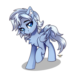 Size: 2500x2500 | Tagged: safe, artist:fluffywhirlpool, imported from derpibooru, oc, oc only, pegasus, pony, blue eyes, chest fluff, commission, eyebrows, eyebrows visible through hair, folded wings, full body, looking at you, male, pegasus oc, raised hoof, sad, sad face, simple background, solo, stallion, tail, white background, white mane, white tail, wings