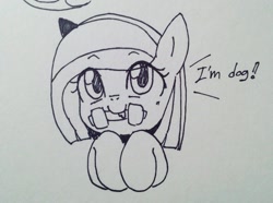 Size: 1195x891 | Tagged: safe, artist:maren, imported from derpibooru, oc, oc only, oc:poniko, pony, 2017, behaving like a dog, bust, chew toy, dialogue, female, hooves to the chest, old art, solo, traditional art
