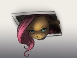 Size: 4000x3044 | Tagged: safe, artist:miokomata, imported from derpibooru, fluttershy, pegasus, pony, behaving like a cat, ceiling pony, creepy, creepy smile, female, floppy ears, freckles, freckleshy, high res, looking at you, looking down, looking down at you, mare, ponified animal photo, smiling, solo