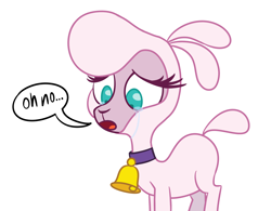 Size: 1600x1250 | Tagged: safe, artist:nonameorous, imported from derpibooru, lamb, sheep, them's fightin' herds, amogus, amogus eyes, among us, bell, bell collar, collar, community related, crying, cyan eyes, meme, open mouth, pom (tfh), simple background, solo, speech bubble, white background